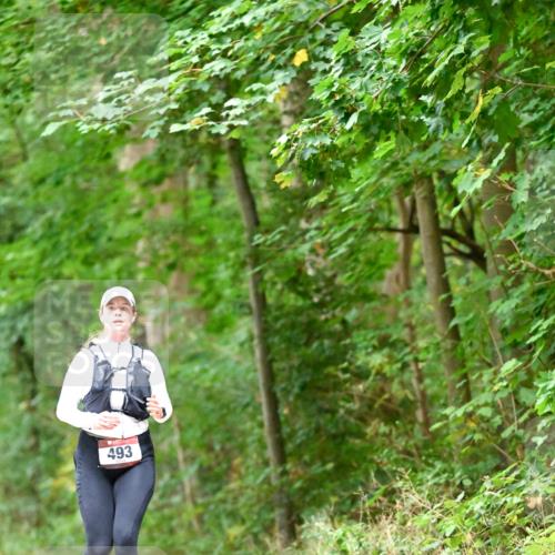 11.10.2026 - Bramfelder Halbmarathon 2026 Dr. Thomas Lammeyer http://msf.ph/oto/10821530 11.10.2026 10:28:06 Laufen 493 meine-sportfotos.de