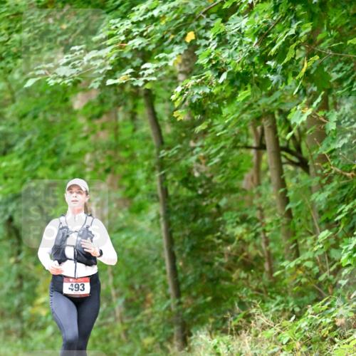 11.10.2026 - Bramfelder Halbmarathon 2026 Dr. Thomas Lammeyer http://msf.ph/oto/10821531 11.10.2026 10:28:06 Laufen 493 meine-sportfotos.de