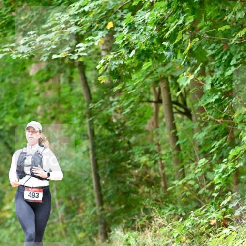 11.10.2026 - Bramfelder Halbmarathon 2026 Dr. Thomas Lammeyer http://msf.ph/oto/10821532 11.10.2026 10:28:06 Laufen 493 meine-sportfotos.de
