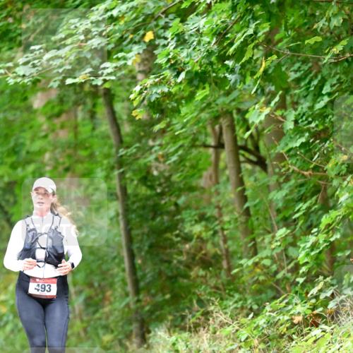 11.10.2026 - Bramfelder Halbmarathon 2026 Dr. Thomas Lammeyer http://msf.ph/oto/10821533 11.10.2026 10:28:06 Laufen 493 meine-sportfotos.de
