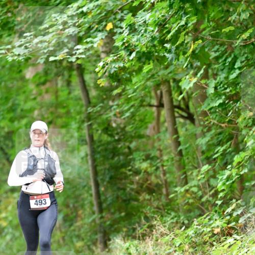 11.10.2026 - Bramfelder Halbmarathon 2026 Dr. Thomas Lammeyer http://msf.ph/oto/10821534 11.10.2026 10:28:07 Laufen 493 meine-sportfotos.de
