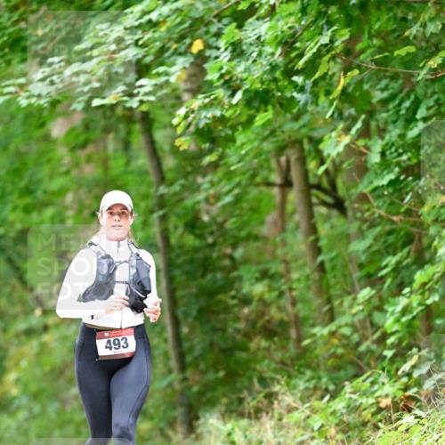 11.10.2026 - Bramfelder Halbmarathon 2026 Dr. Thomas Lammeyer http://msf.ph/oto/10821540 11.10.2026 10:28:07 Laufen 493 meine-sportfotos.de
