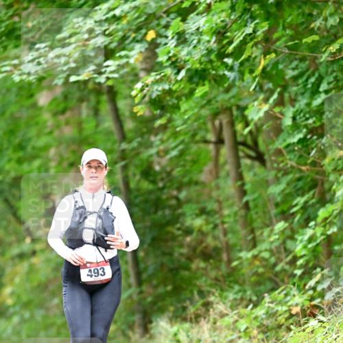 11.10.2026 - Bramfelder Halbmarathon 2026 Dr. Thomas Lammeyer http://msf.ph/oto/10821541 11.10.2026 10:28:07 Laufen 493 meine-sportfotos.de