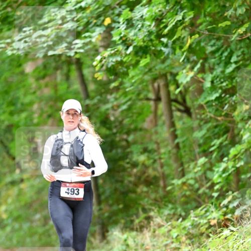 11.10.2026 - Bramfelder Halbmarathon 2026 Dr. Thomas Lammeyer http://msf.ph/oto/10821543 11.10.2026 10:28:08 Laufen 493 meine-sportfotos.de
