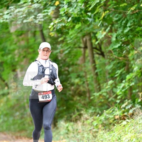11.10.2026 - Bramfelder Halbmarathon 2026 Dr. Thomas Lammeyer http://msf.ph/oto/10821545 11.10.2026 10:28:08 Laufen 493 meine-sportfotos.de