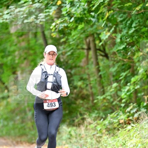 11.10.2026 - Bramfelder Halbmarathon 2026 Dr. Thomas Lammeyer http://msf.ph/oto/10821546 11.10.2026 10:28:08 Laufen 493 meine-sportfotos.de
