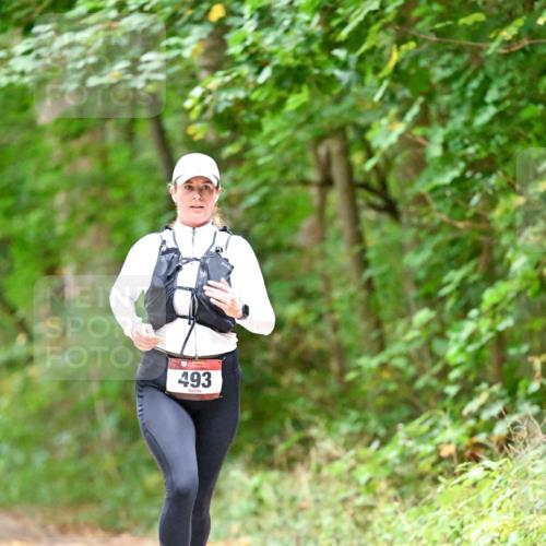 11.10.2026 - Bramfelder Halbmarathon 2026 Dr. Thomas Lammeyer http://msf.ph/oto/10821547 11.10.2026 10:28:08 Laufen 493 meine-sportfotos.de