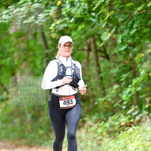 11.10.2026 - Bramfelder Halbmarathon 2026 Dr. Thomas Lammeyer http://msf.ph/oto/10821550 11.10.2026 10:28:09 Laufen 493 meine-sportfotos.de