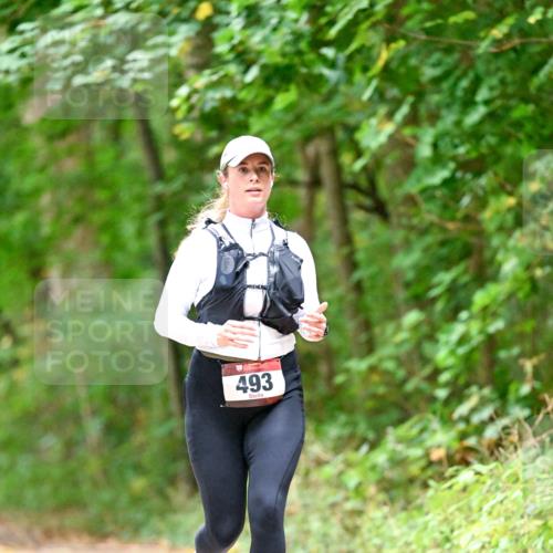 11.10.2026 - Bramfelder Halbmarathon 2026 Dr. Thomas Lammeyer http://msf.ph/oto/10821551 11.10.2026 10:28:09 Laufen 493 meine-sportfotos.de