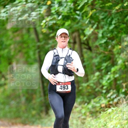 11.10.2026 - Bramfelder Halbmarathon 2026 Dr. Thomas Lammeyer http://msf.ph/oto/10821552 11.10.2026 10:28:09 Laufen 493 meine-sportfotos.de