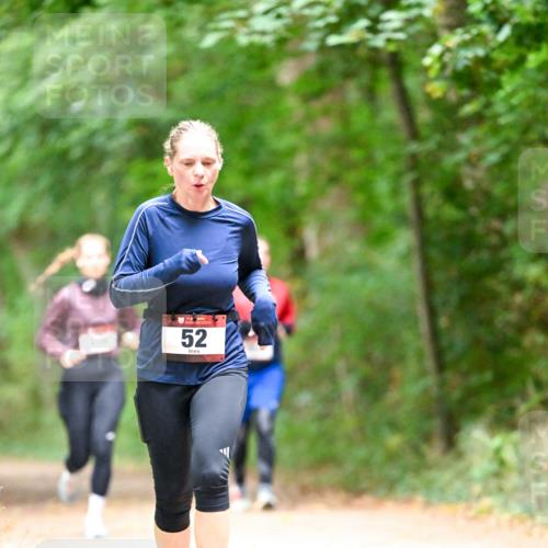 11.10.2026 - Bramfelder Halbmarathon 2026 Dr. Thomas Lammeyer http://msf.ph/oto/10821558 11.10.2026 10:28:10 Laufen 52 meine-sportfotos.de