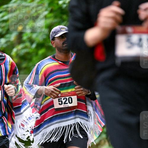 11.10.2026 - Bramfelder Halbmarathon 2026 Dr. Thomas Lammeyer http://msf.ph/oto/10821615 11.10.2026 10:28:30 Laufen 217, 35, 520, 541 meine-sportfotos.de