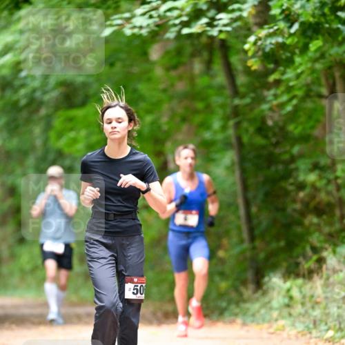 11.10.2026 - Bramfelder Halbmarathon 2026 Dr. Thomas Lammeyer http://msf.ph/oto/10821662 11.10.2026 10:28:59 Laufen 50 meine-sportfotos.de