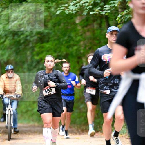11.10.2026 - Bramfelder Halbmarathon 2026 Dr. Thomas Lammeyer http://msf.ph/oto/10821820 11.10.2026 10:30:01 Laufen 585, 75, 143 meine-sportfotos.de