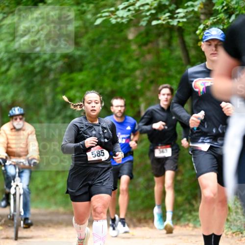 11.10.2026 - Bramfelder Halbmarathon 2026 Dr. Thomas Lammeyer http://msf.ph/oto/10821823 11.10.2026 10:30:01 Laufen 585, 75 meine-sportfotos.de