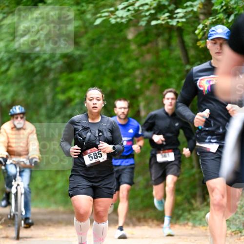 11.10.2026 - Bramfelder Halbmarathon 2026 Dr. Thomas Lammeyer http://msf.ph/oto/10821824 11.10.2026 10:30:01 Laufen 585, 75 meine-sportfotos.de