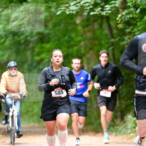 11.10.2026 - Bramfelder Halbmarathon 2026 Dr. Thomas Lammeyer http://msf.ph/oto/10821827 11.10.2026 10:30:02 Laufen 585, 75 meine-sportfotos.de
