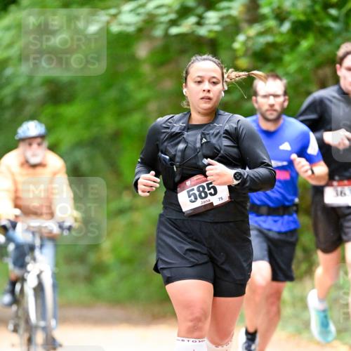 11.10.2026 - Bramfelder Halbmarathon 2026 Dr. Thomas Lammeyer http://msf.ph/oto/10821834 11.10.2026 10:30:03 Laufen 585, 75, 367 meine-sportfotos.de
