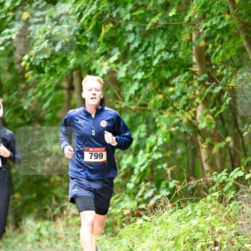 11.10.2026 - Bramfelder Halbmarathon 2026 Dr. Thomas Lammeyer http://msf.ph/oto/10821910 11.10.2026 10:30:43 Laufen 799 meine-sportfotos.de