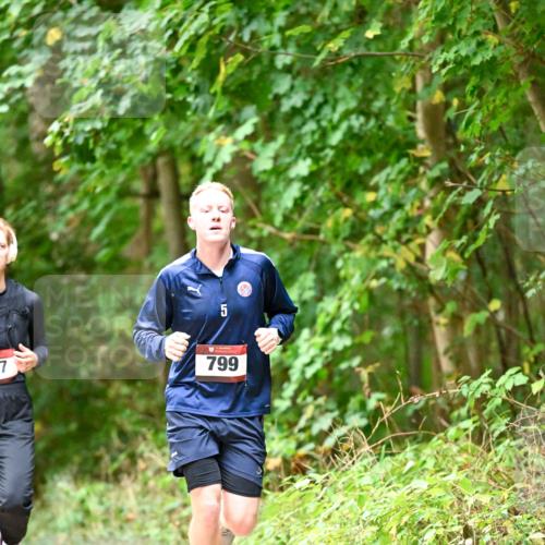 11.10.2026 - Bramfelder Halbmarathon 2026 Dr. Thomas Lammeyer http://msf.ph/oto/10821911 11.10.2026 10:30:43 Laufen 7, 5, 799 meine-sportfotos.de