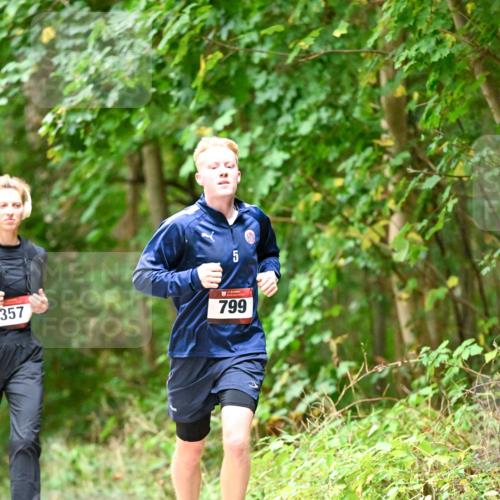 11.10.2026 - Bramfelder Halbmarathon 2026 Dr. Thomas Lammeyer http://msf.ph/oto/10821912 11.10.2026 10:30:44 Laufen 357, 5, 799 meine-sportfotos.de