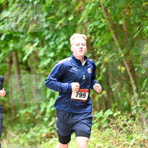11.10.2026 - Bramfelder Halbmarathon 2026 Dr. Thomas Lammeyer http://msf.ph/oto/10821918 11.10.2026 10:30:44 Laufen 5, 799 meine-sportfotos.de