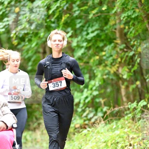 11.10.2026 - Bramfelder Halbmarathon 2026 Dr. Thomas Lammeyer http://msf.ph/oto/10821922 11.10.2026 10:30:45 Laufen 509, 50, 357 meine-sportfotos.de
