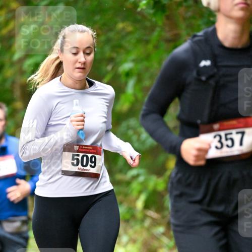 11.10.2026 - Bramfelder Halbmarathon 2026 Dr. Thomas Lammeyer http://msf.ph/oto/10821940 11.10.2026 10:30:48 Laufen 35, 509, 357 meine-sportfotos.de