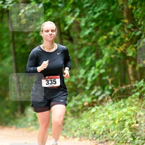 11.10.2026 - Bramfelder Halbmarathon 2026 Dr. Thomas Lammeyer http://msf.ph/oto/10822018 11.10.2026 10:31:09 Laufen 335 meine-sportfotos.de