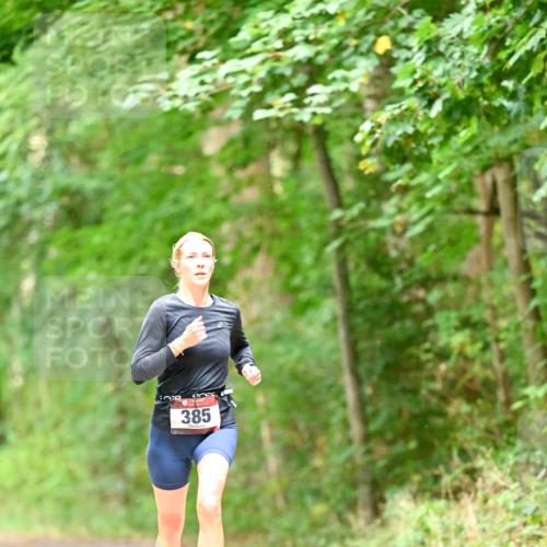 11.10.2026 - Bramfelder Halbmarathon 2026 Dr. Thomas Lammeyer http://msf.ph/oto/10822071 11.10.2026 10:31:41 Laufen 385 meine-sportfotos.de