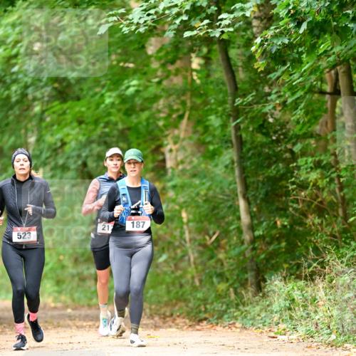 11.10.2026 - Bramfelder Halbmarathon 2026 Dr. Thomas Lammeyer http://msf.ph/oto/10822141 11.10.2026 10:32:24 Laufen 212, 523, 187 meine-sportfotos.de
