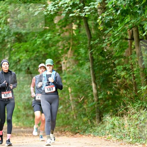 11.10.2026 - Bramfelder Halbmarathon 2026 Dr. Thomas Lammeyer http://msf.ph/oto/10822143 11.10.2026 10:32:24 Laufen 523, 21, 187 meine-sportfotos.de