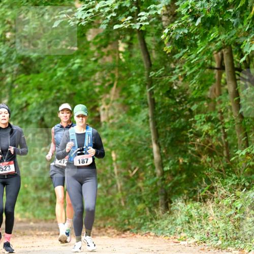 11.10.2026 - Bramfelder Halbmarathon 2026 Dr. Thomas Lammeyer http://msf.ph/oto/10822144 11.10.2026 10:32:24 Laufen 523, 212, 187 meine-sportfotos.de