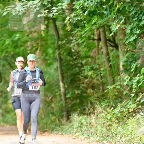 11.10.2026 - Bramfelder Halbmarathon 2026 Dr. Thomas Lammeyer http://msf.ph/oto/10822148 11.10.2026 10:32:25 Laufen 212, 187 meine-sportfotos.de