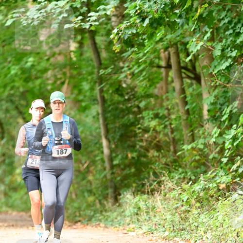 11.10.2026 - Bramfelder Halbmarathon 2026 Dr. Thomas Lammeyer http://msf.ph/oto/10822149 11.10.2026 10:32:25 Laufen 212, 187 meine-sportfotos.de