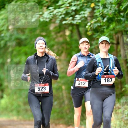 11.10.2026 - Bramfelder Halbmarathon 2026 Dr. Thomas Lammeyer http://msf.ph/oto/10822163 11.10.2026 10:32:28 Laufen 523, 212, 187 meine-sportfotos.de