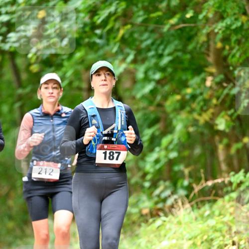 11.10.2026 - Bramfelder Halbmarathon 2026 Dr. Thomas Lammeyer http://msf.ph/oto/10822168 11.10.2026 10:32:29 Laufen 212, 187 meine-sportfotos.de