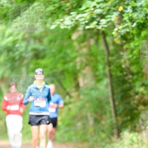 11.10.2026 - Bramfelder Halbmarathon 2026 Dr. Thomas Lammeyer http://msf.ph/oto/10822184 11.10.2026 10:33:16 Laufen  meine-sportfotos.de
