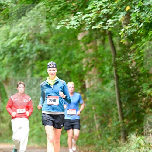 11.10.2026 - Bramfelder Halbmarathon 2026 Dr. Thomas Lammeyer http://msf.ph/oto/10822189 11.10.2026 10:33:17 Laufen 296, 260, 371 meine-sportfotos.de