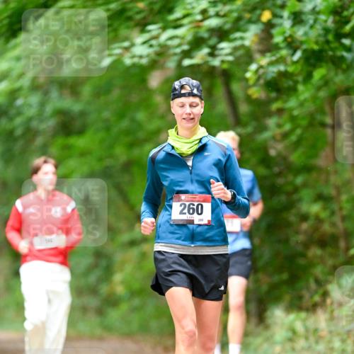 11.10.2026 - Bramfelder Halbmarathon 2026 Dr. Thomas Lammeyer http://msf.ph/oto/10822206 11.10.2026 10:33:19 Laufen 260, 280 meine-sportfotos.de