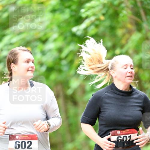 11.10.2026 - Bramfelder Halbmarathon 2026 Dr. Thomas Lammeyer http://msf.ph/oto/10822222 11.10.2026 10:33:40 Laufen 20, 35, 602, 35, 601 meine-sportfotos.de