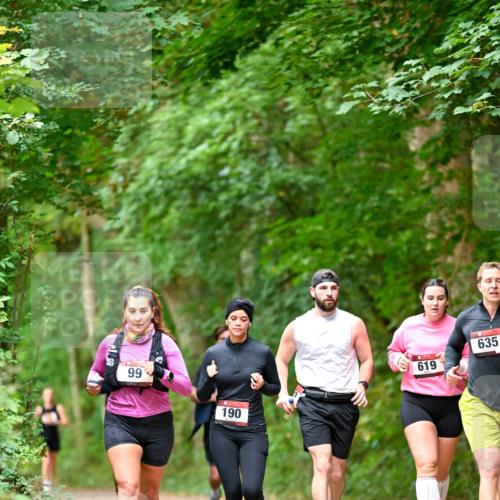 11.10.2026 - Bramfelder Halbmarathon 2026 Dr. Thomas Lammeyer http://msf.ph/oto/10822247 11.10.2026 10:33:49 Laufen 99, 190, 619, 635 meine-sportfotos.de