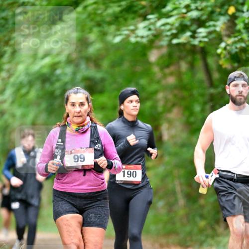 11.10.2026 - Bramfelder Halbmarathon 2026 Dr. Thomas Lammeyer http://msf.ph/oto/10822268 11.10.2026 10:33:53 Laufen 99, 190 meine-sportfotos.de