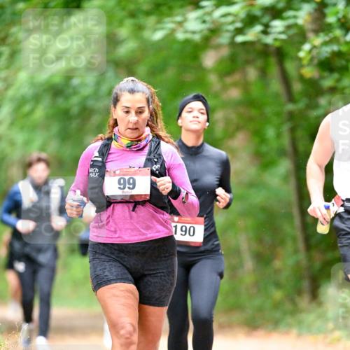 11.10.2026 - Bramfelder Halbmarathon 2026 Dr. Thomas Lammeyer http://msf.ph/oto/10822273 11.10.2026 10:33:54 Laufen 99, 190 meine-sportfotos.de