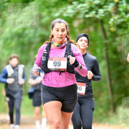 11.10.2026 - Bramfelder Halbmarathon 2026 Dr. Thomas Lammeyer http://msf.ph/oto/10822278 11.10.2026 10:33:55 Laufen 99, 0 meine-sportfotos.de