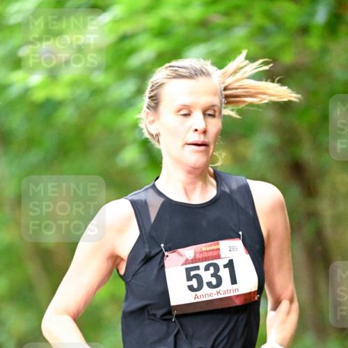 11.10.2026 - Bramfelder Halbmarathon 2026 Dr. Thomas Lammeyer http://msf.ph/oto/10822328 11.10.2026 10:34:05 Laufen 289, 35, 531 meine-sportfotos.de
