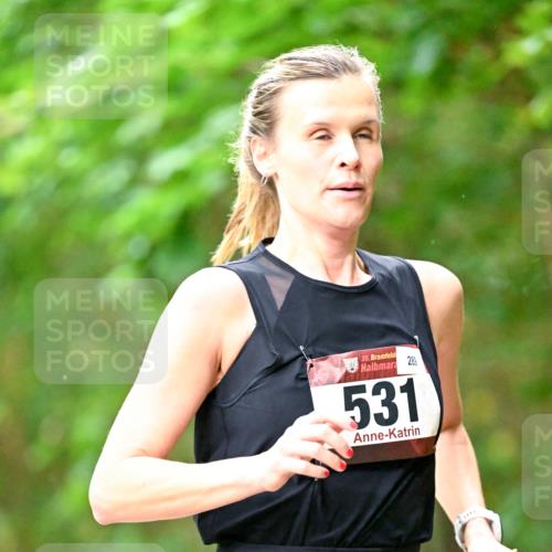 11.10.2026 - Bramfelder Halbmarathon 2026 Dr. Thomas Lammeyer http://msf.ph/oto/10822330 11.10.2026 10:34:06 Laufen 35, 531, 289, 2 meine-sportfotos.de