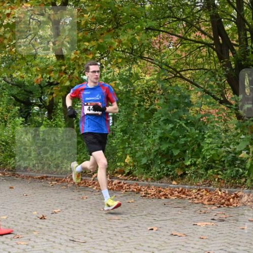 11.10.2026 - Bramfelder Halbmarathon 2026 J. Mangold http://msf.ph/oto/10822337 11.10.2026 10:13:59 Laufen 214, 319, 327, 444 meine-sportfotos.de