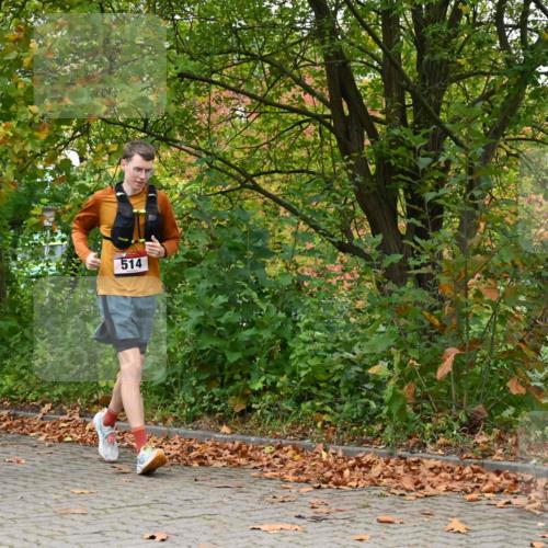 11.10.2026 - Bramfelder Halbmarathon 2026 J. Mangold http://msf.ph/oto/10822359 11.10.2026 10:14:34 Laufen 132, 365, 401, 435, 514 meine-sportfotos.de