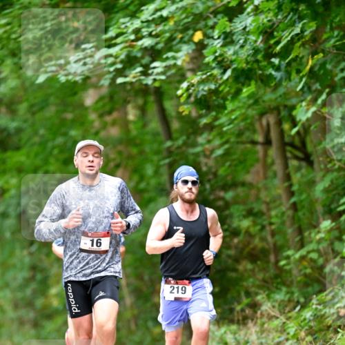 11.10.2026 - Bramfelder Halbmarathon 2026 Dr. Thomas Lammeyer http://msf.ph/oto/10822360 11.10.2026 10:34:12 Laufen 16, 219 meine-sportfotos.de